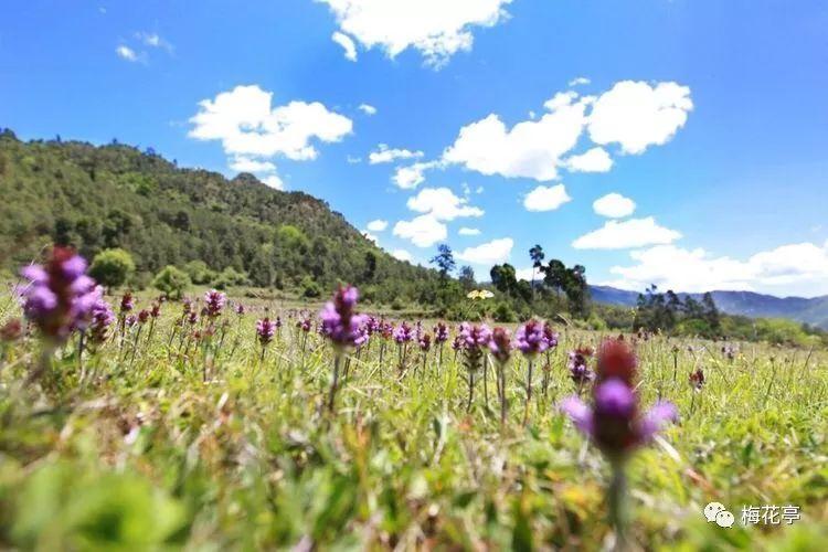 “新春走基层”抒写充满生机的中国