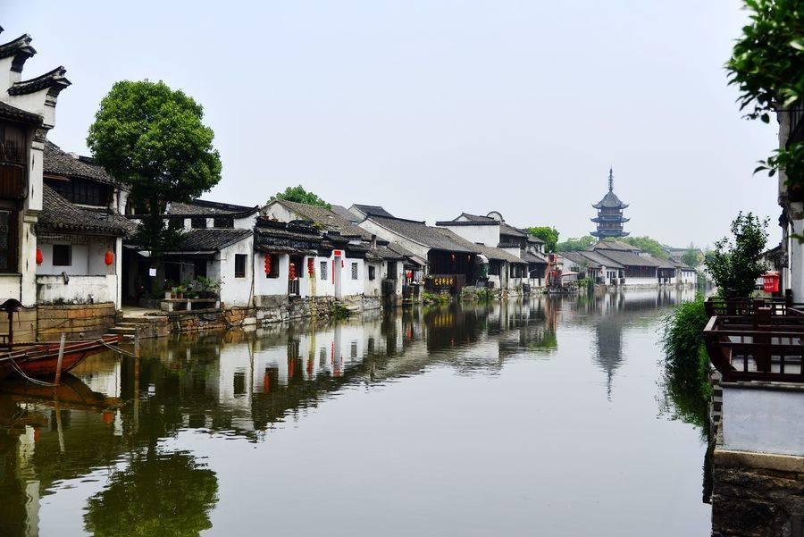 逃离天鹅森林